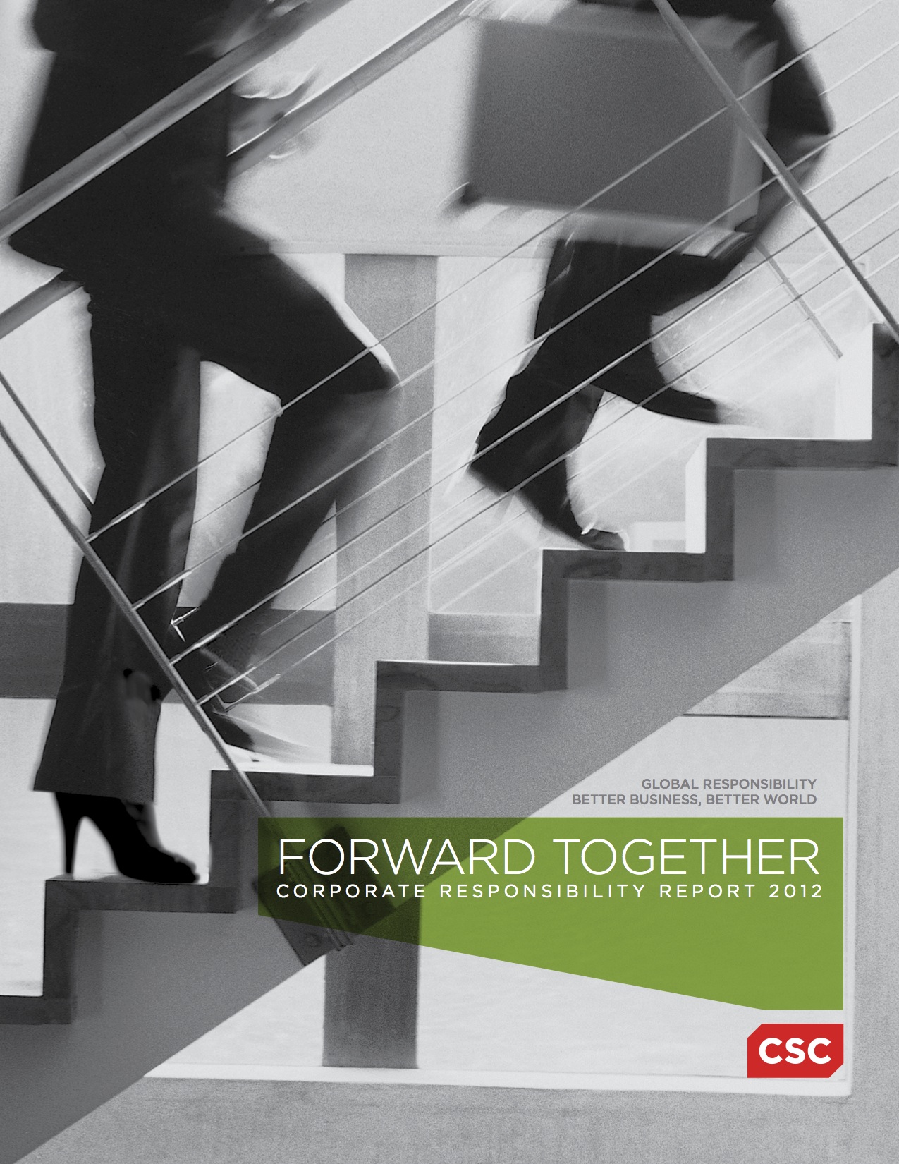 the narrow view of corporate responsibility the narrow view of corporate responsibility