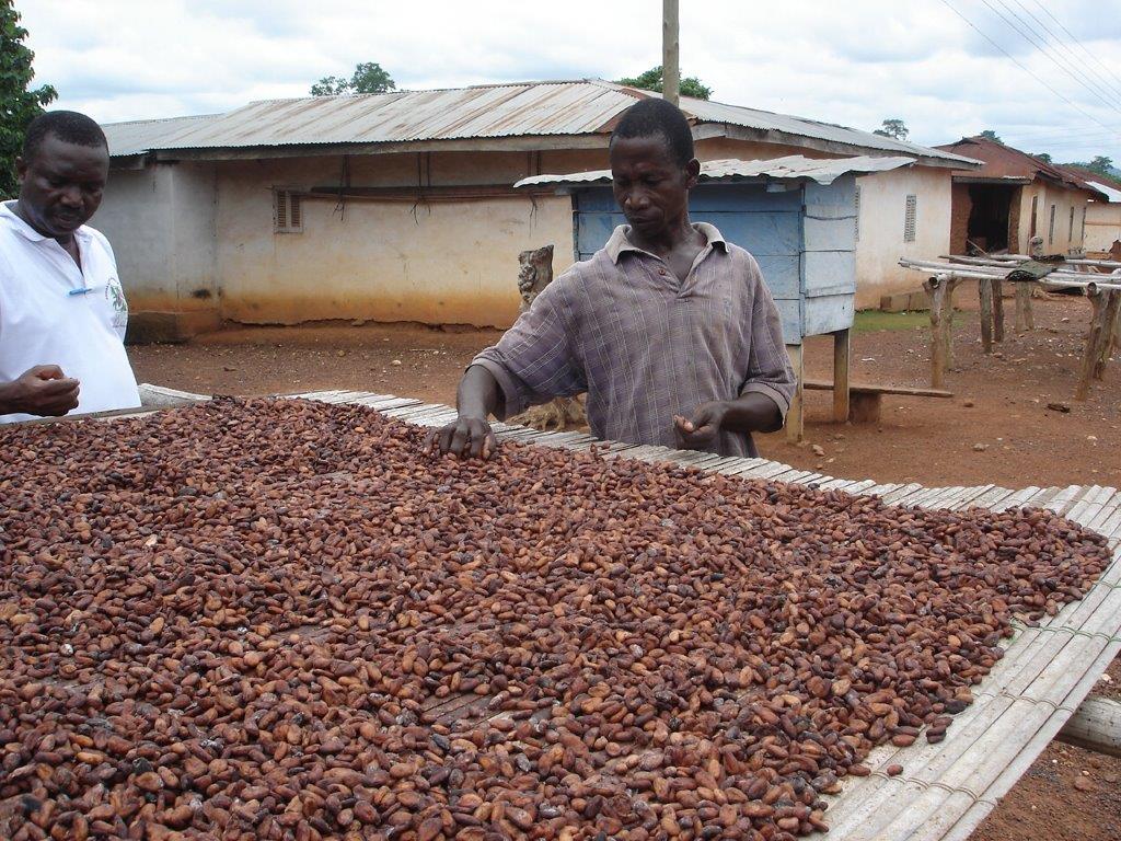 Hershey Joins With World’s Largest Cocoa and Chocolate...