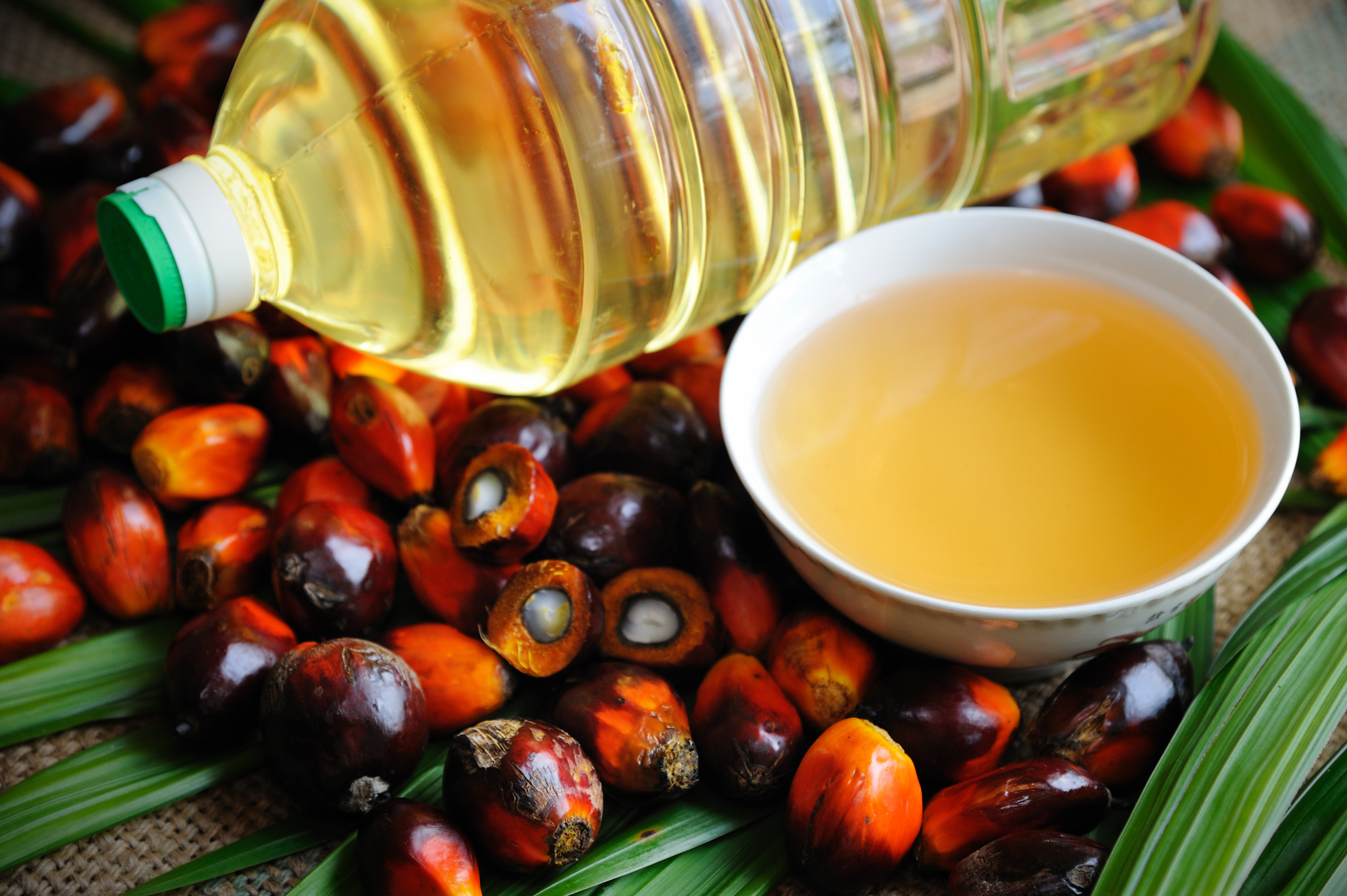 Is All Vegetable Oil Palm Oil