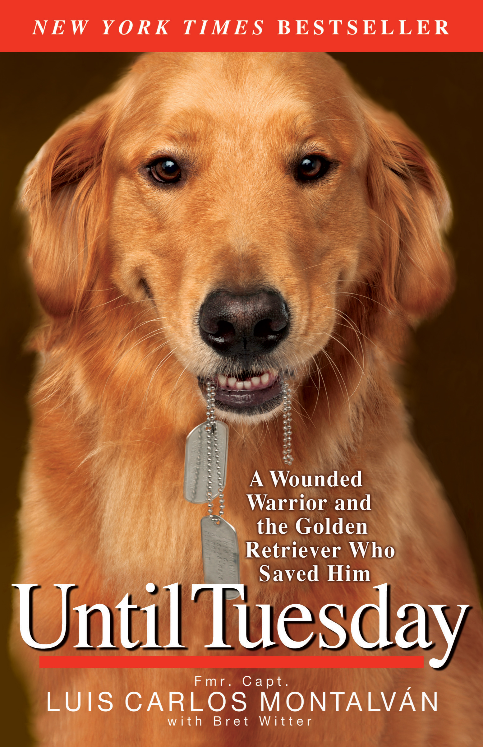 susquehanna-service-dogs-pawsabilities-is-a-weekend