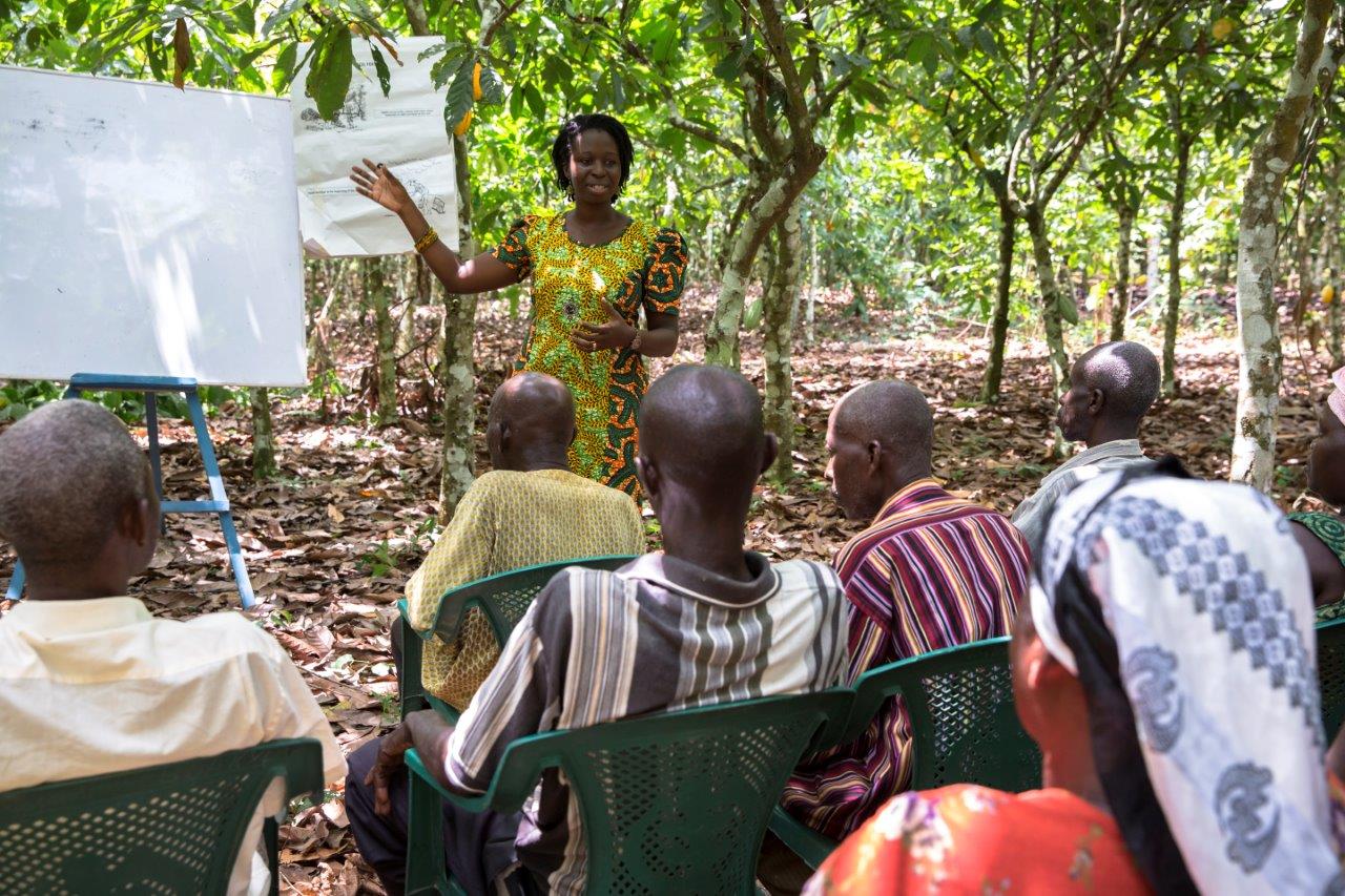 Hershey and the Ghana Cocoa Board Recognize...