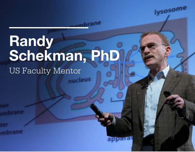 Meet Amgen Scholar Mentor Randy Schekman, PhD