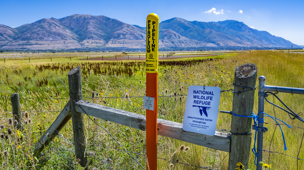 Our landscaped right of way in one of Utah’s national wildlife refuges.