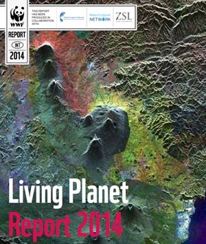 To quote American nature writer Kenneth Brower, “A living planet is a rare thing, perhaps the rarest thing in the universe, and a very tenuous experiment at best.” Yet we continue our heedless “experimentation” of its limits. The question arises? Is the father of modern sociobiology EO Wilson right when he advocates for the “Half Earth” Concept?