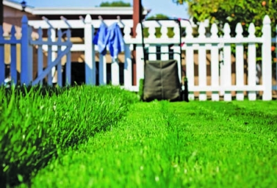 WITH MORE THAN 40 million acres of residential and commercial grass lawns in the United States, turfgrass is firmly rooted in American culture. Unfortunately, the conventional lawn has numerous drawbacks: it requires frequent mowing, irrigation and fertilizer application, and it is commonly treated with pesticides.