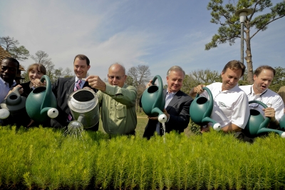 Speakers, dignitaries and corporate sponsors water longleaf loblolly pine tree saplings at the lost pines forest recovery news conference.