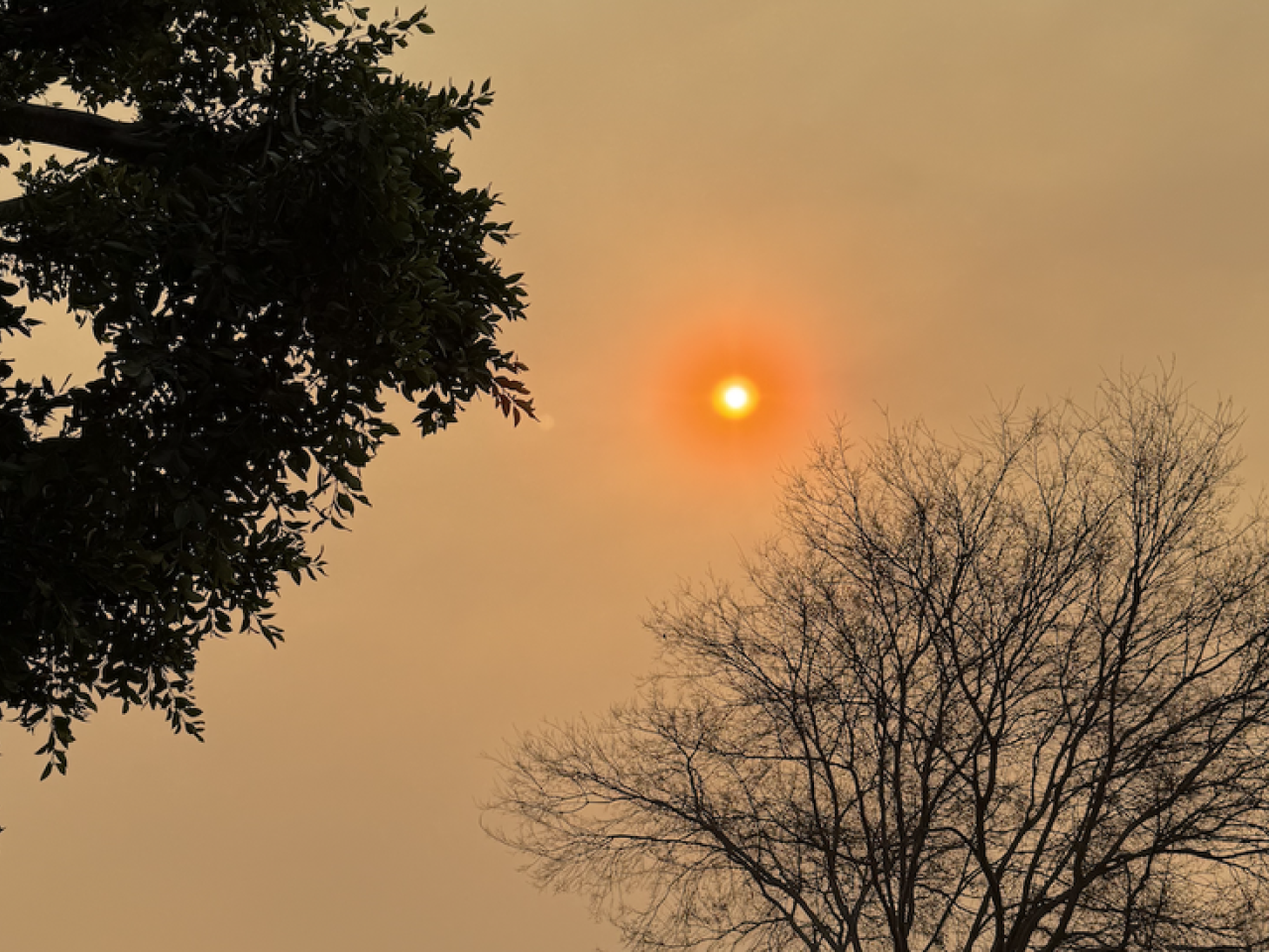 Sun behind smoky sky