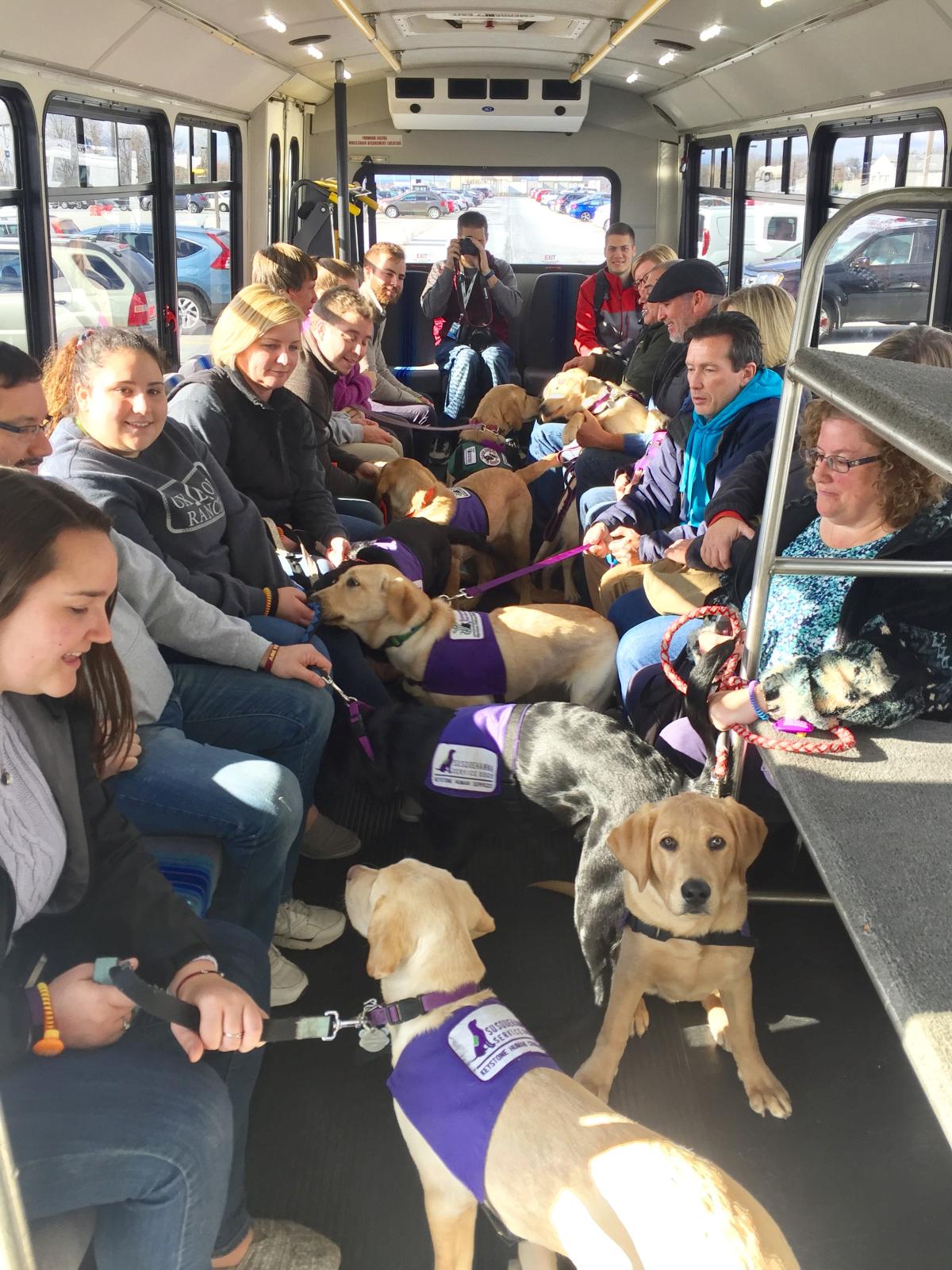 can you take a service dog on international flight