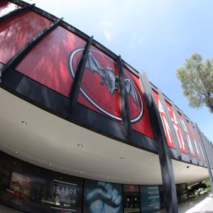 Bacardi Awards Employees for Remarkable Sustainability Efforts