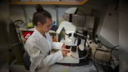 Amgen Scholars Global Program: Imaani Easthausen