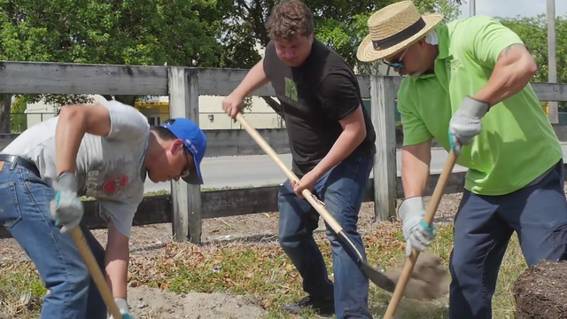 Bacardi Makes Miami Neighborhood Cooler with Tree Planting at Local Park
